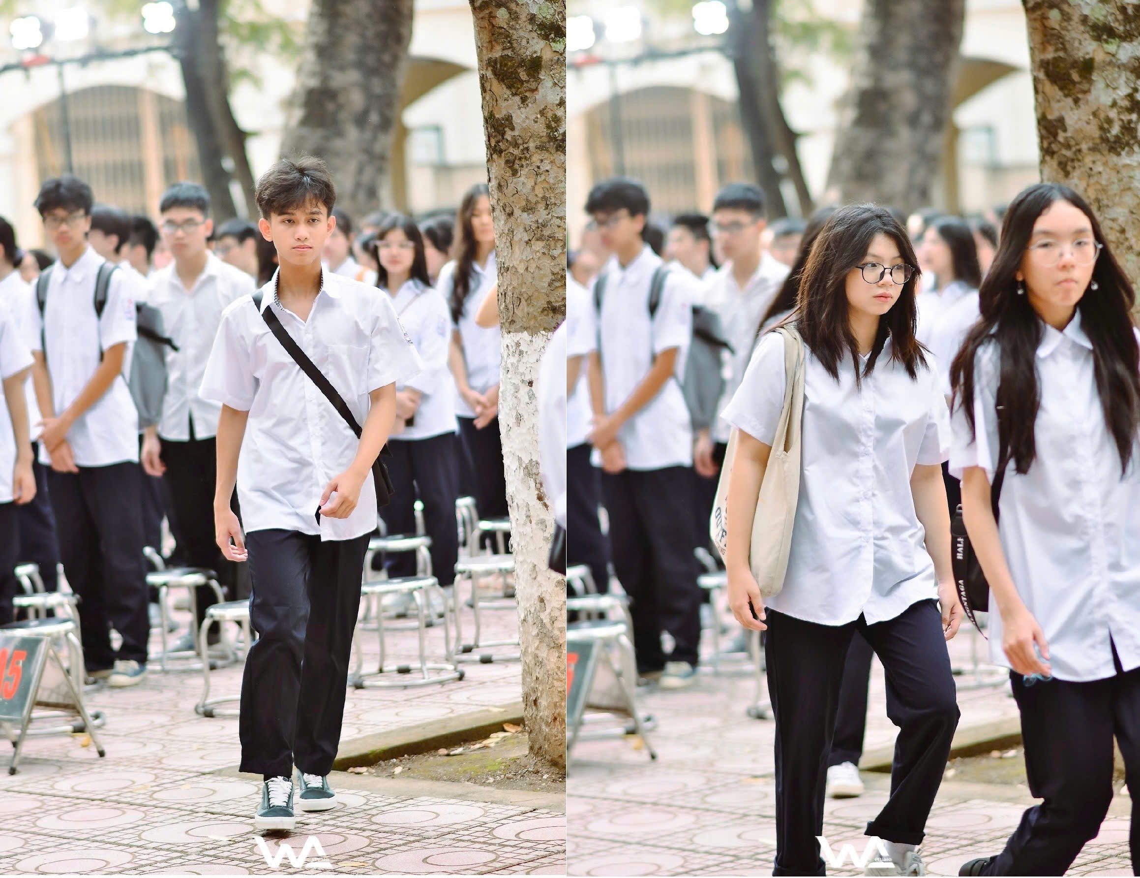 Nhận lớp 05